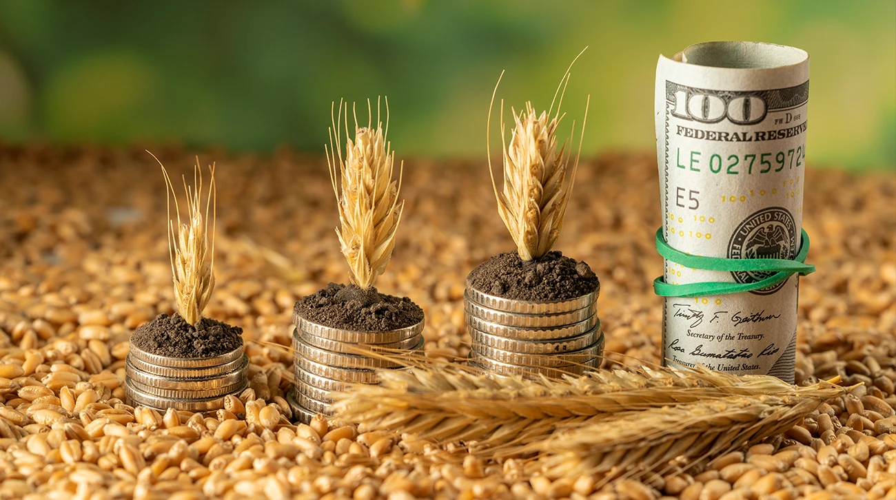 Harvesting Wealth: The Power of Gratitude